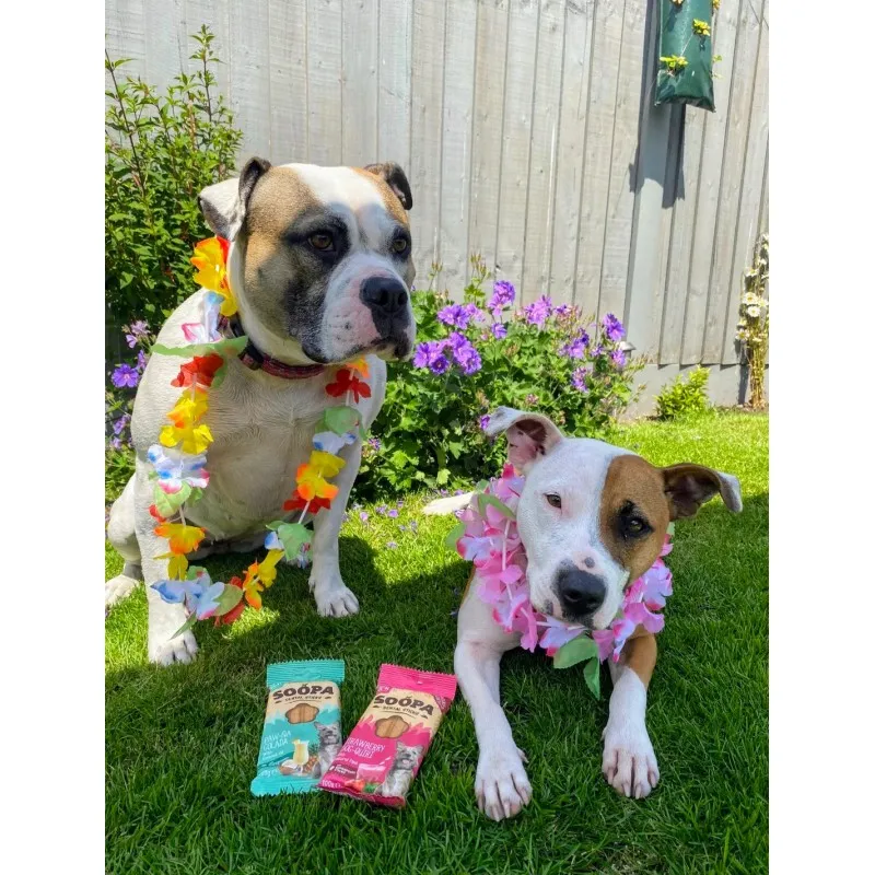 Soopa Dentals Jagoda Dog-Quiri