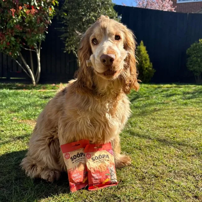 Soopa Dentals MANGO I MALINA