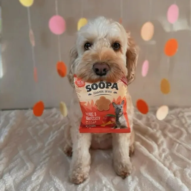 Soopa Bites MANGO I MALINA