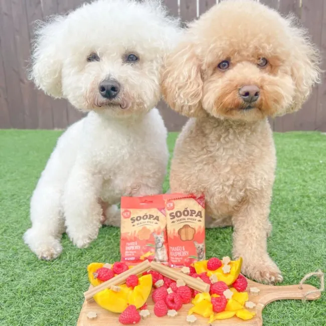 Soopa Dentals MANGO I MALINA