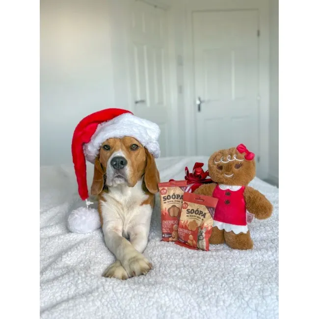 Soopa Dentals KEKSI S ĐUMBIROM